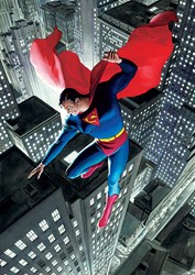 Superman Twentieth Century (Box Canvas Deluxe) by DC - Box Canvas Deluxe sized 26x38 inches. Available from Whitewall Galleries